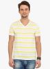 Northern_Lights_Yellow_Striped_V_Ne.jpg
