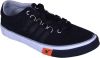 Sparx_Sneakers.jpg