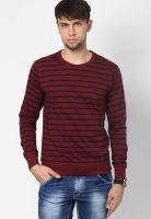 Allen Solly Red Round Neck T-Shirt