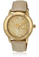 DKNY Ny8435 Golden Analog Watch