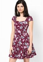 Dorothy Perkins Red Colored Printed Skater Dress