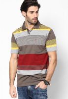 Duke Brown Polo T-Shirt