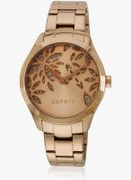 Esprit Es107282002_Sor Golden/Golden Analog Watch
