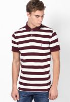 Indian Terrain Maroon Polo T-Shirt