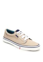 Nautica Beige Sneakers