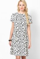 Tonga Black Colored Printed Skater Dress