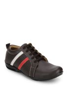 Z Collection Brown Lifestyle Shoes