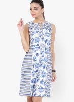 109F Blue Colored Printed Shift Dress