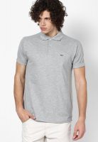 Gas Grey Melange Solid Polo T-Shirts