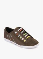 MB Collection Brown Casual Sneakers