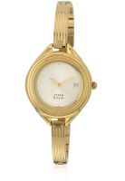 Titan 2513Ym01 Golden/Silveranalog Watch