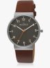 Skagen_Skagen_Ancher_Tan_Grey_Analo.jpg
