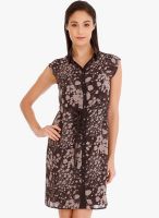 109F Brown Printed Shift Dress