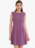 109F Purple Solid Skater Dress