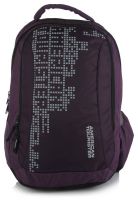 American Tourister Urbane Purple Backpack