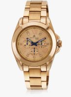 Daniel Klein Dk10248-2 Golden/Golden Analog Watch