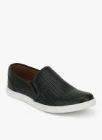 Knotty Derby Terry Plimsolls Black Loafers
