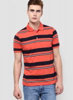 Peter England Orange Striped Polo T-Shirts