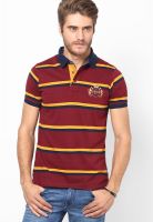 Proline Maroon Polo T-Shirt