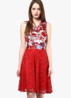 The Vanca Red Colored Printed Skater Dress