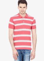 Urban Nomad Pink Striped Polo T-Shirts