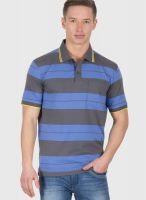 Wilkins & Tuscany Blue Striped Polo T-Shirts