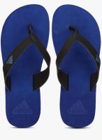 Adidas Durok Blue Flip Flops