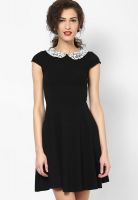 Dorothy Perkins Black Cap Sleeve Collar Dress