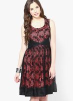 Soie Black Colored Solid Skater Dress