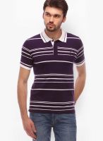 Urban Nomad Purple Striped Polo T-Shirts