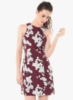 Besiva Maroon Colored Printed Bodycon Dress
