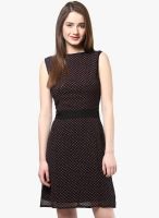 Calgari Black Colored Printed Shift Dress