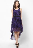 Calgari Purple Colored Printed Skater Dress