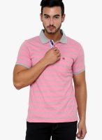 Crimsoune Club Pink Striped Polo T-Shirts