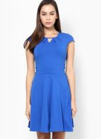 Dorothy Perkins Blue Colored Solid Skater Dress