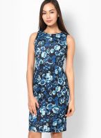 Dorothy Perkins Blue Colored Solid Bodycon Dress