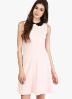 Dorothy Perkins Pink Colored Solid Skater Dress