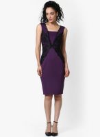 Dorothy Perkins Purple Colored Solid Bodycon Dress