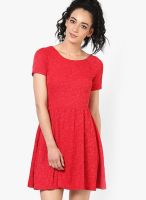 Dorothy Perkins Red Colored Solid Skater Dress