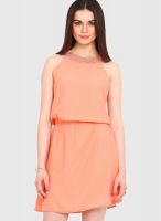Femenino Peach Colored Solid Skater Dress
