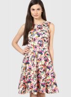 Harpa Blue Colored Printed Skater Dress