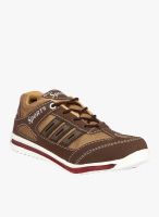 Shoetopia Brown Running Shoes