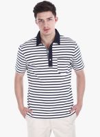 Zobello Off White Striped Polo T-Shirt