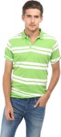 Basics Striped Men's Polo Neck Green T-Shirt