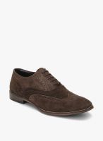 Breakbounce Brown Brogue Lifestyle Shoes