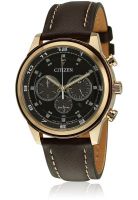 CITIZEN Ca4037-01W Brown/Gold Chronograph Watch