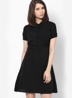 Calgari Black Colored Solid Skater Dress