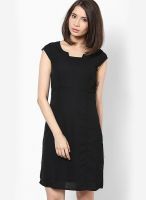 Calgari Black Colored Solid Skater Dress