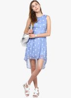 Calgari Blue Colored Printed Skater Dress