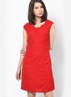 Calgari Red Colored Solid Skater Dress